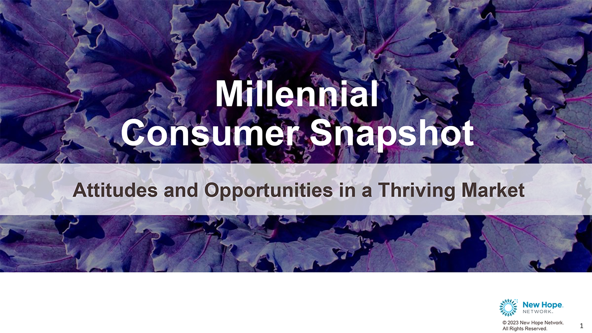 Millennial Consumer Snapshot Report
