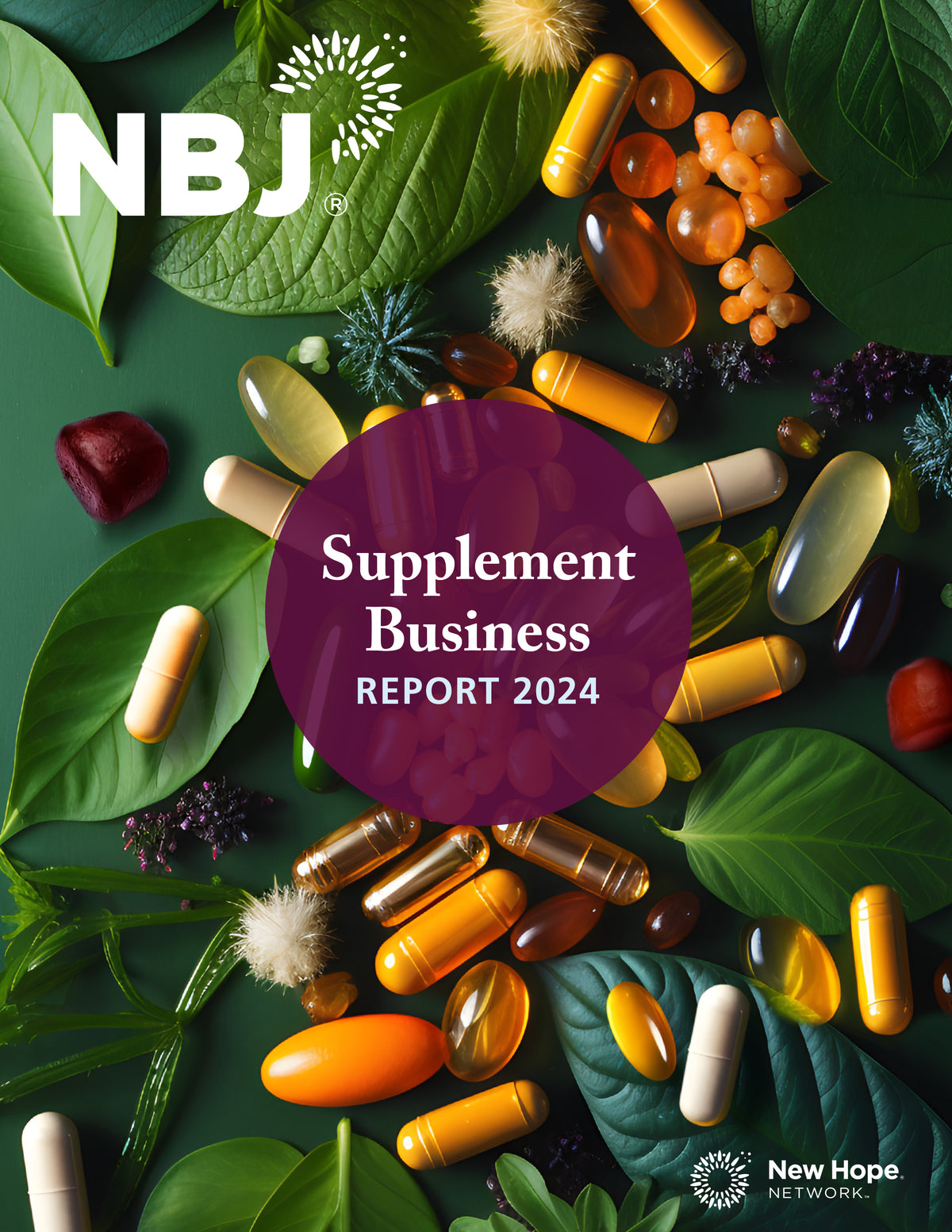 Supplement Business Report 2024 Nutrition Business Journal