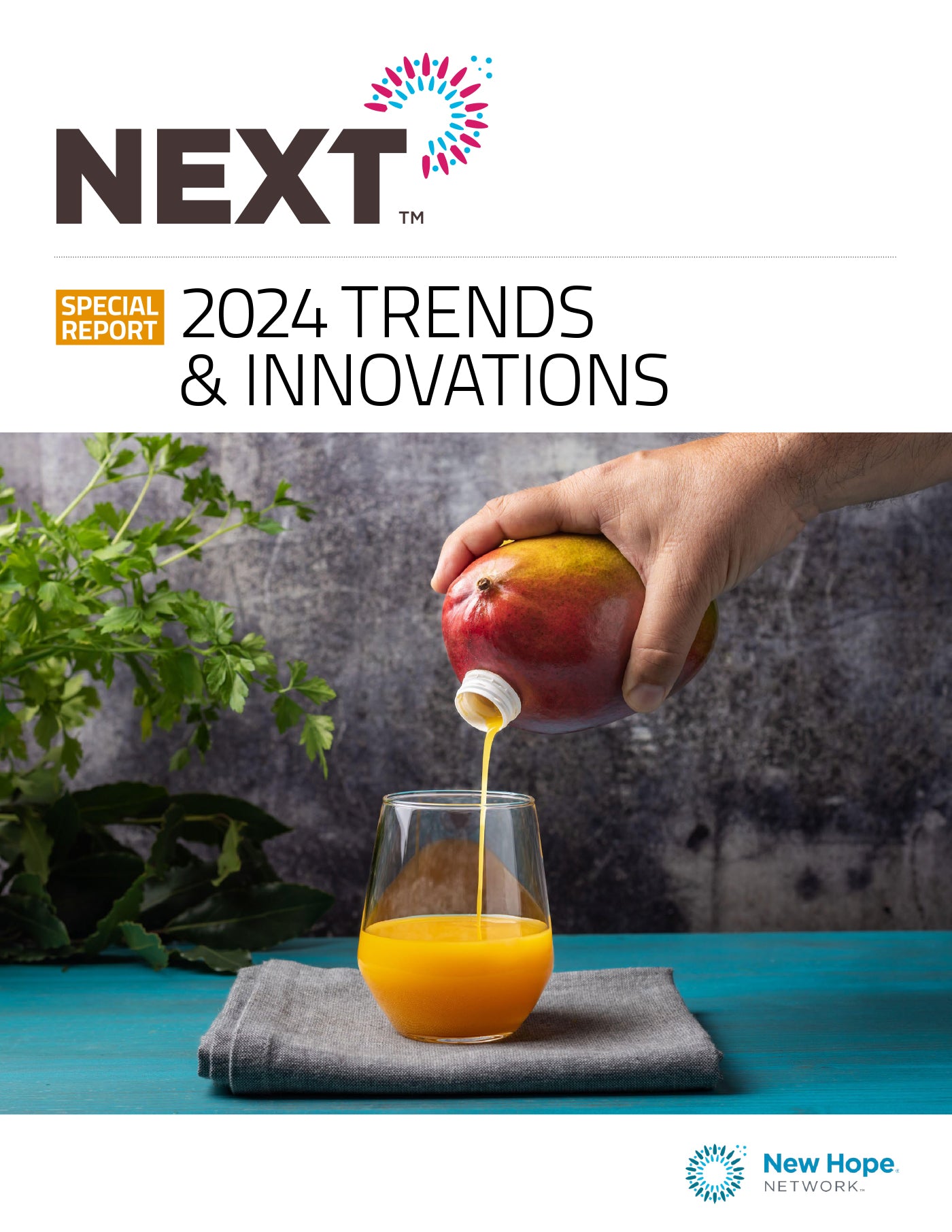 Trends & Innovations Report 2024 NEXT