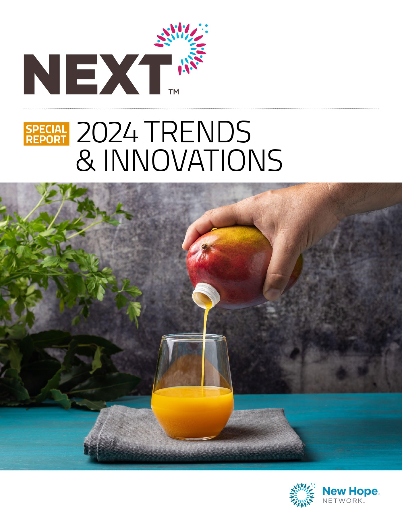 Trends & Innovations Report 2025 NEXT